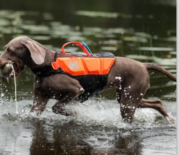 Protector Life Jacket