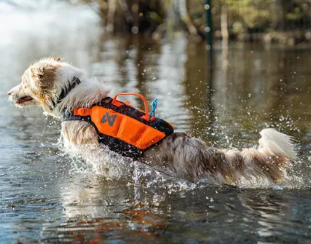 Protector Life Jacket