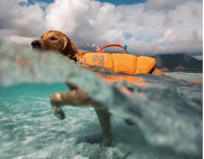 Protector Life Jacket