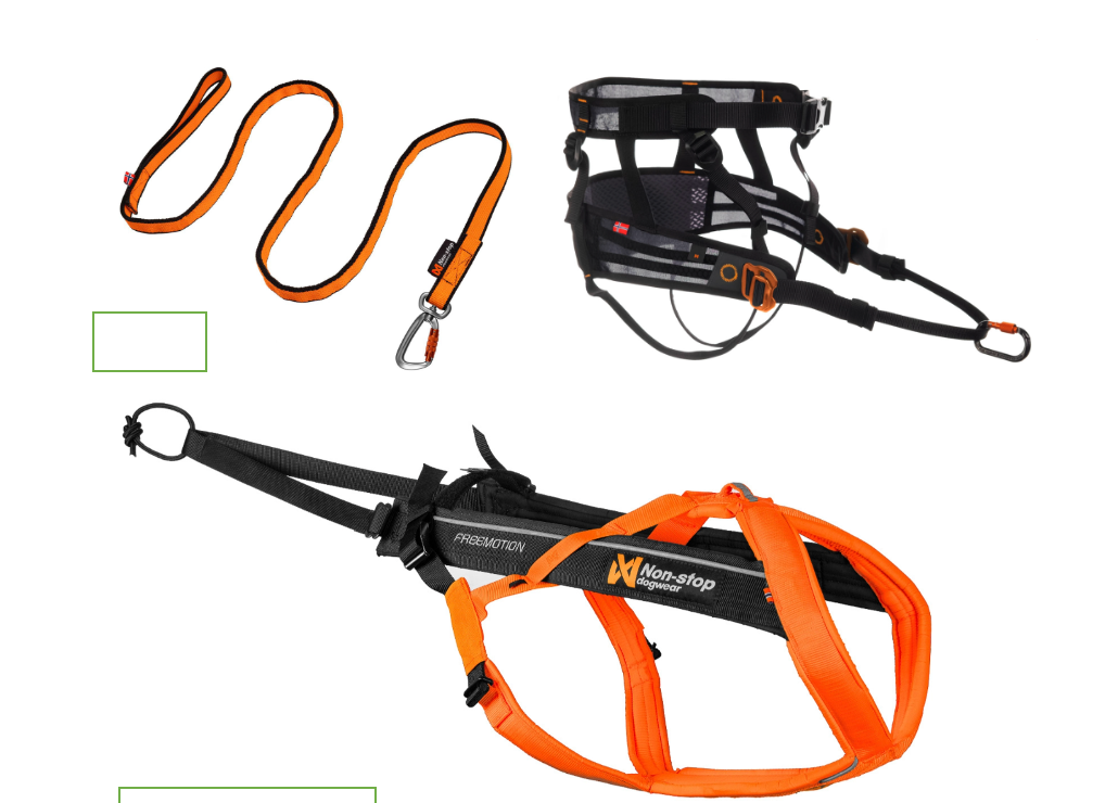 Canicross Package 5.0