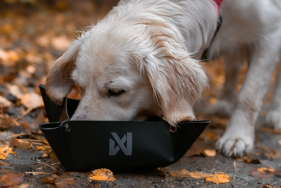 Trekking Bowls
