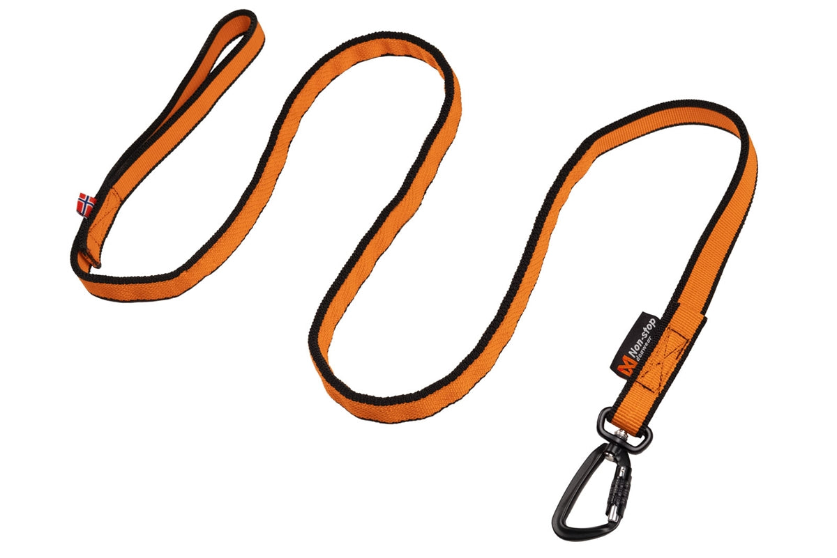 Bungee Leash