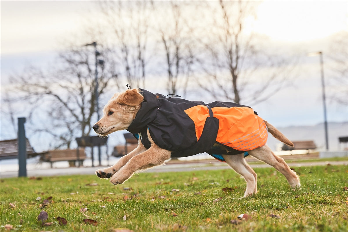 Glacier Jacket 2.0