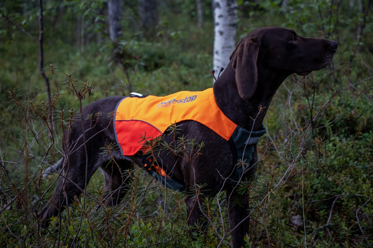 Protector Vest