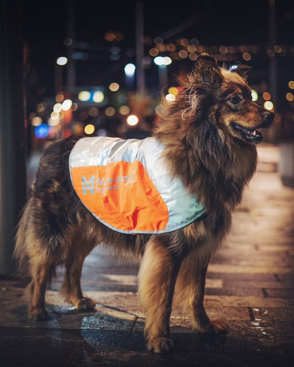 Reflective Vest