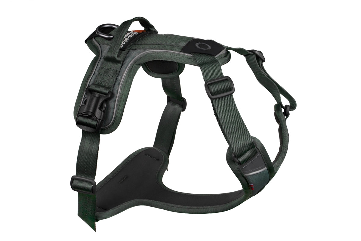 Ramble Harness