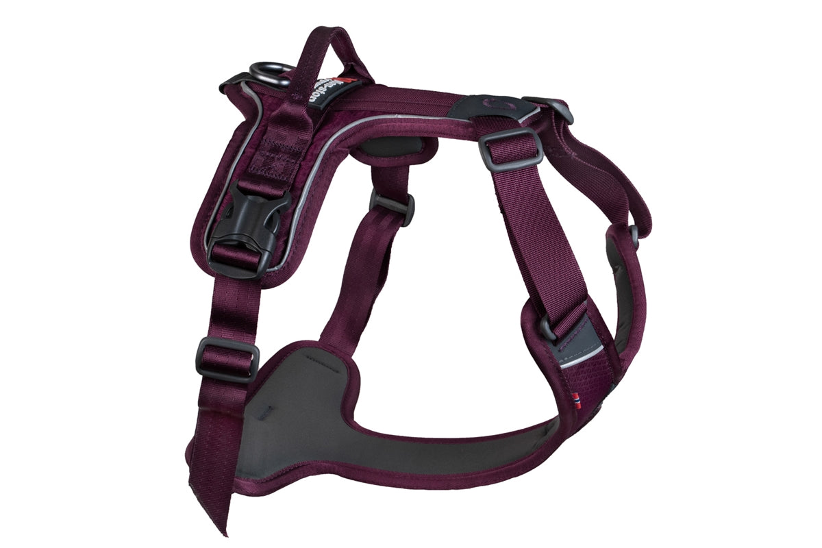 Ramble Harness