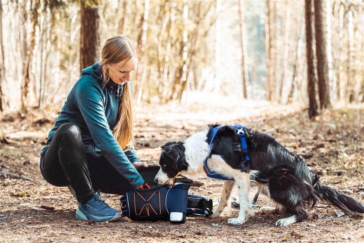 Trekking Belt Bag