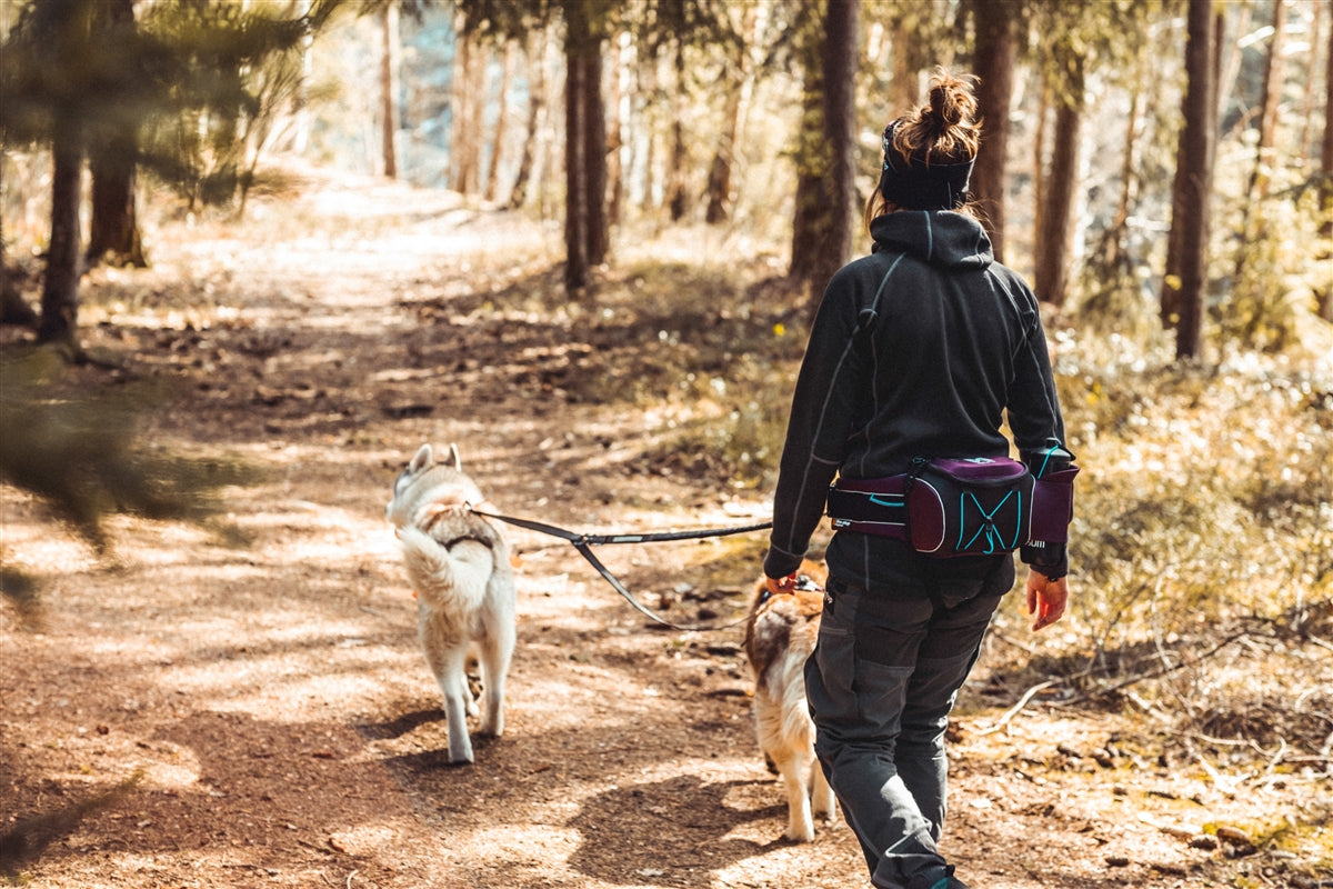 Trekking Belt Bag