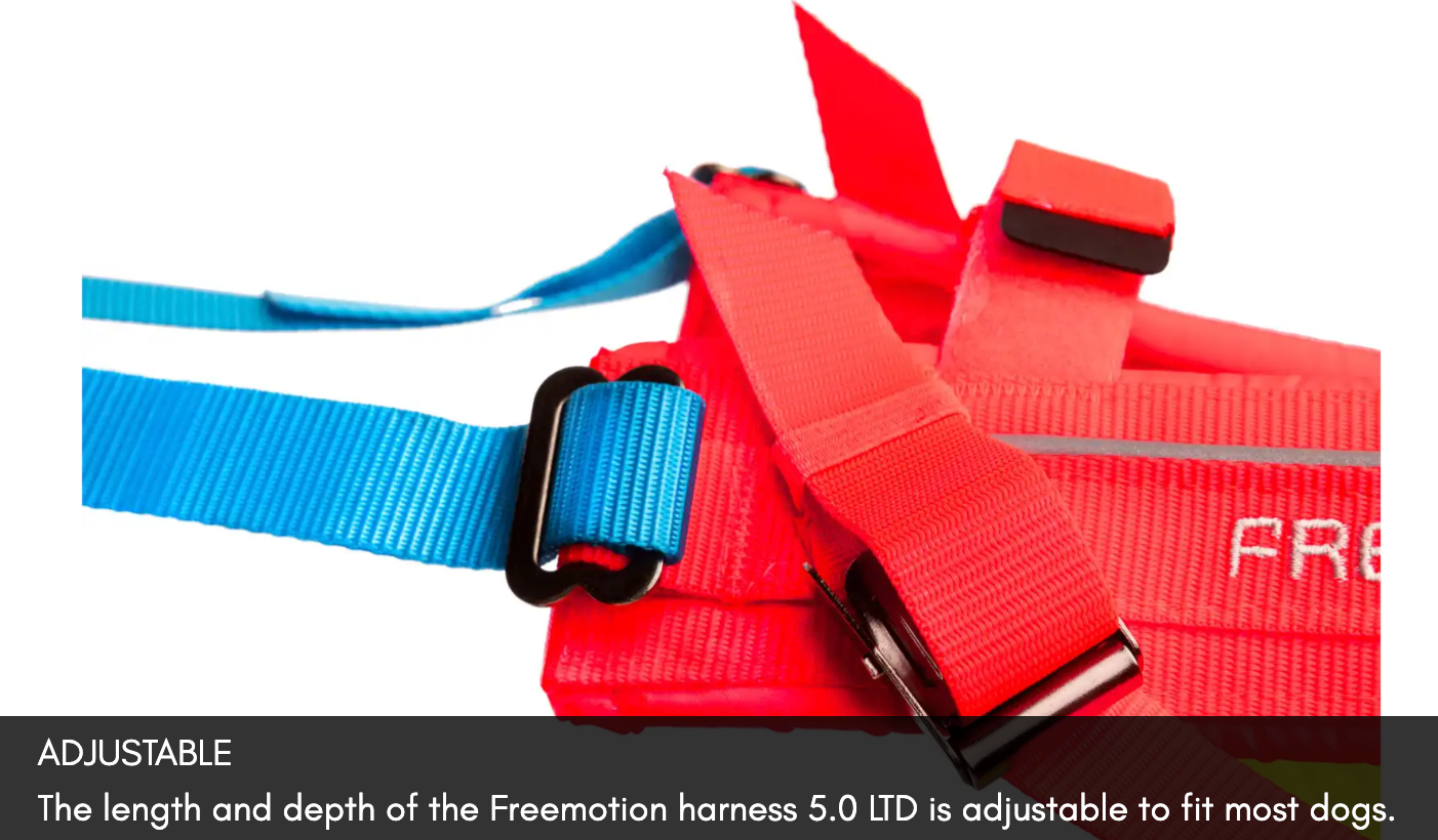 Freemotion Harness 5.0 Limited Edition