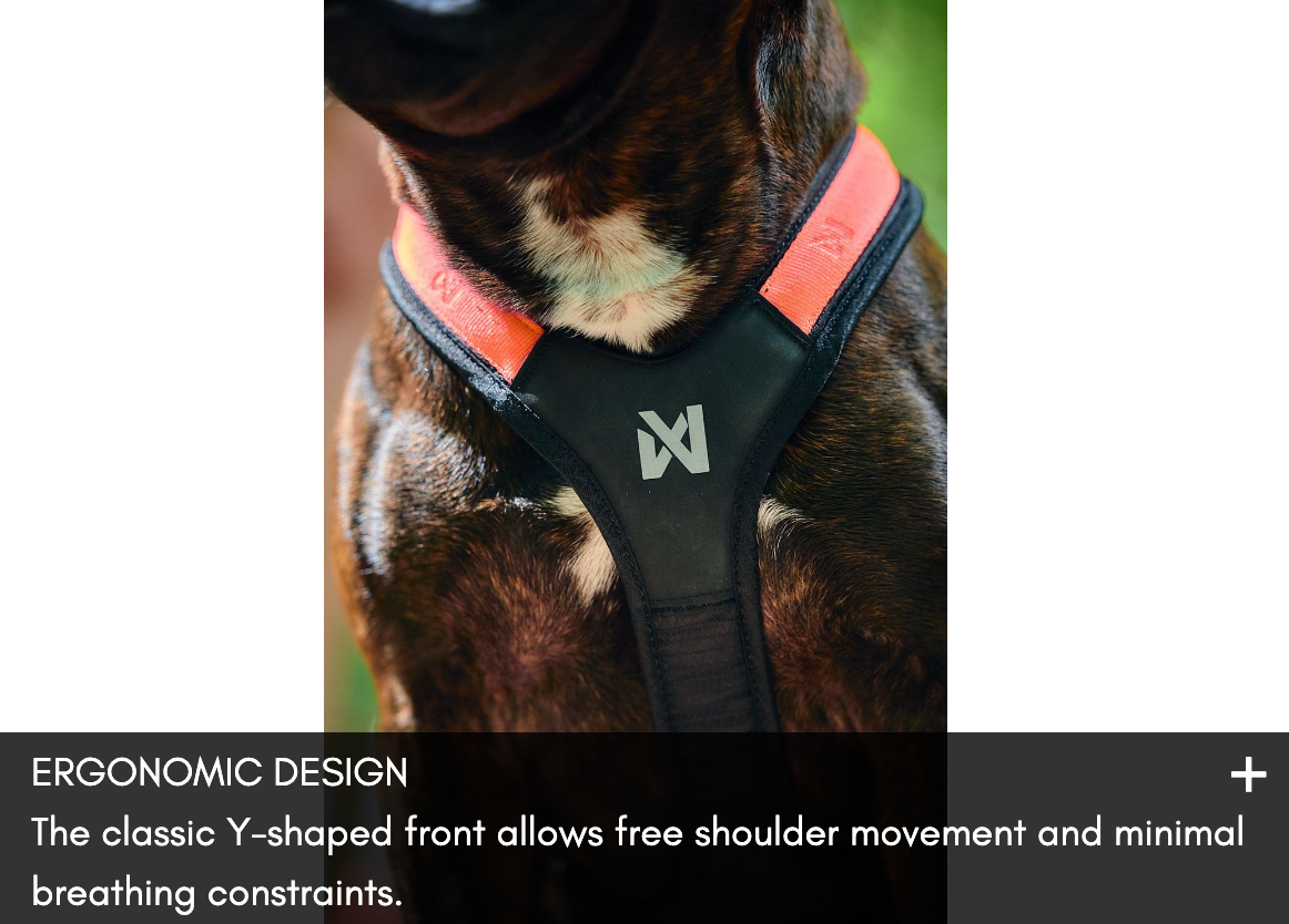 RUSH HARNESS