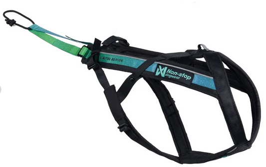 Freemotion Harness 5.0 LTD 15th Aniversary