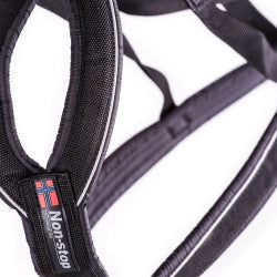 Nansen Nome Harness