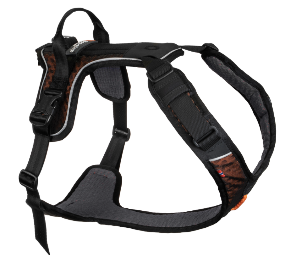 Rock Harness