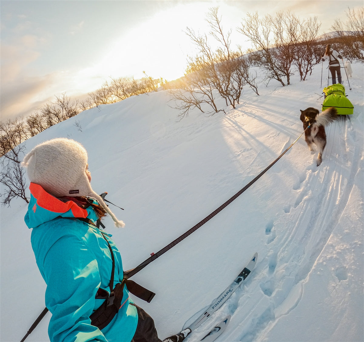 Touring Bungee Leash